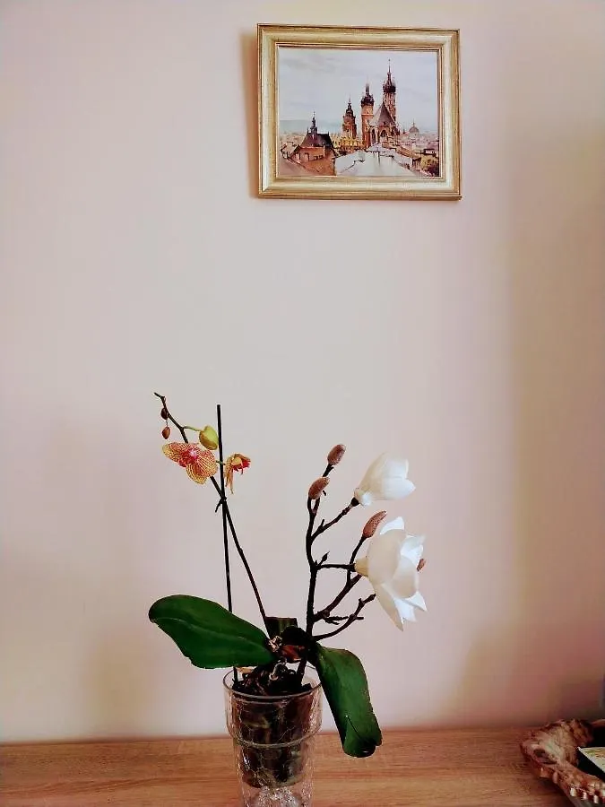 Piast Apartament Krakow Apartment